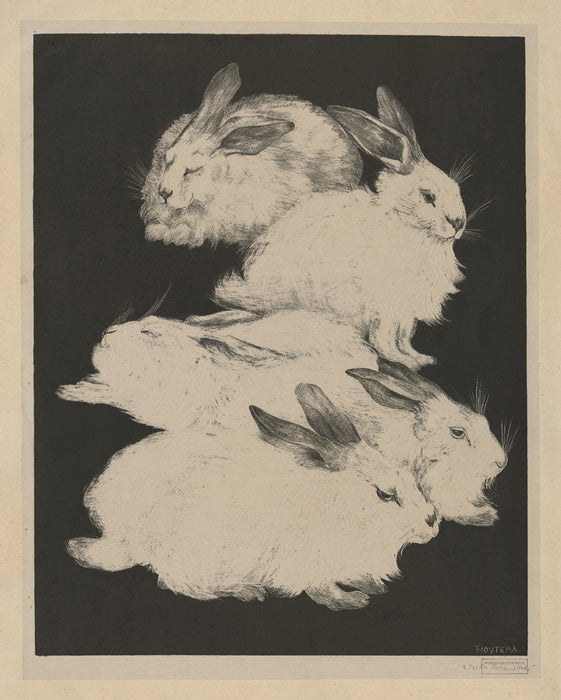 Theo Van hoytema - Five Angora Rabbits - main 