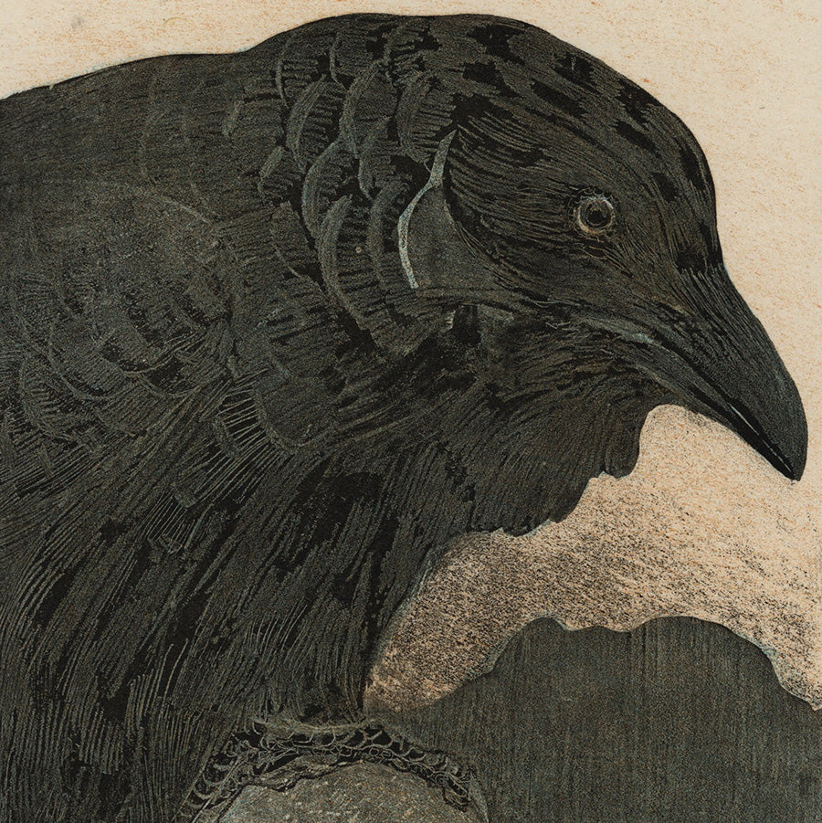 Theo van Hoytema - Oude Kraai - Old Crow - deluxe edition on chine-colle - detail
