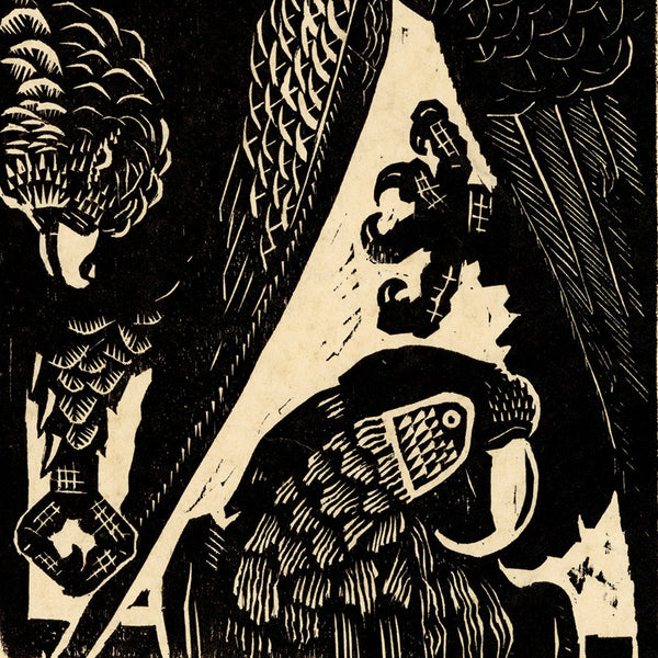 VictorDelhez-Papegaaien-