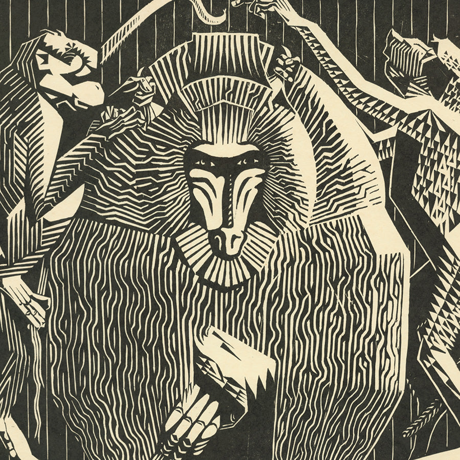 Victor Delhez - Singes - Monkeys - baboon - woodcut