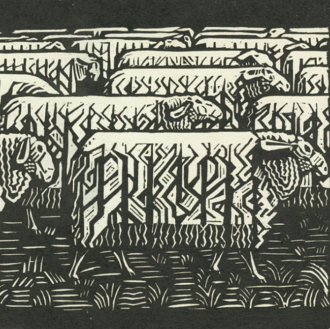 Victor Delhez - Troupeau de Mouton - Sheet Herd - woodcut  - detail