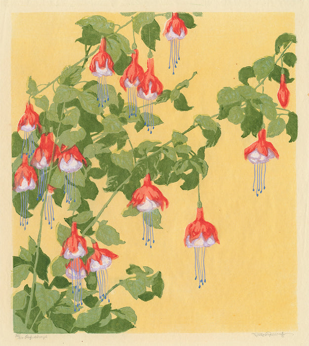 Color woodcut - by PIRKHOFF, Viktor Wolfgang - titled: Fuchsia Branches