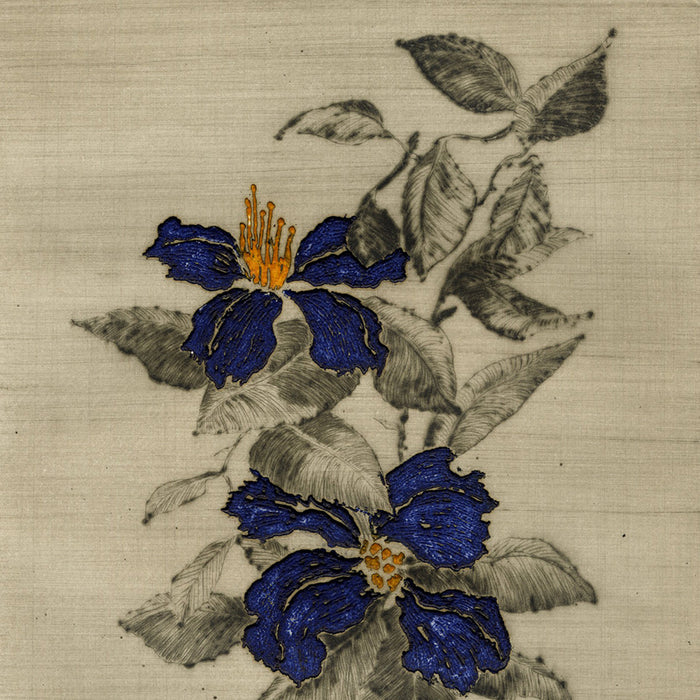 Yannick Ballif - Clematite - Clematis - vine plans flowering - deep royal blue - detail