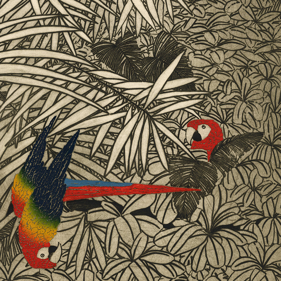 Yannick Ballif - Pedro Alvarez Cabral - drypoint contrast - Brazil - Parrot Macaw brightly colored feathers - detail