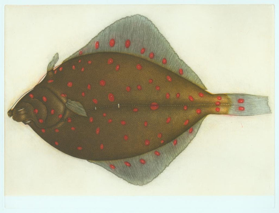 None - by Estebe, Michel - titled: Plie