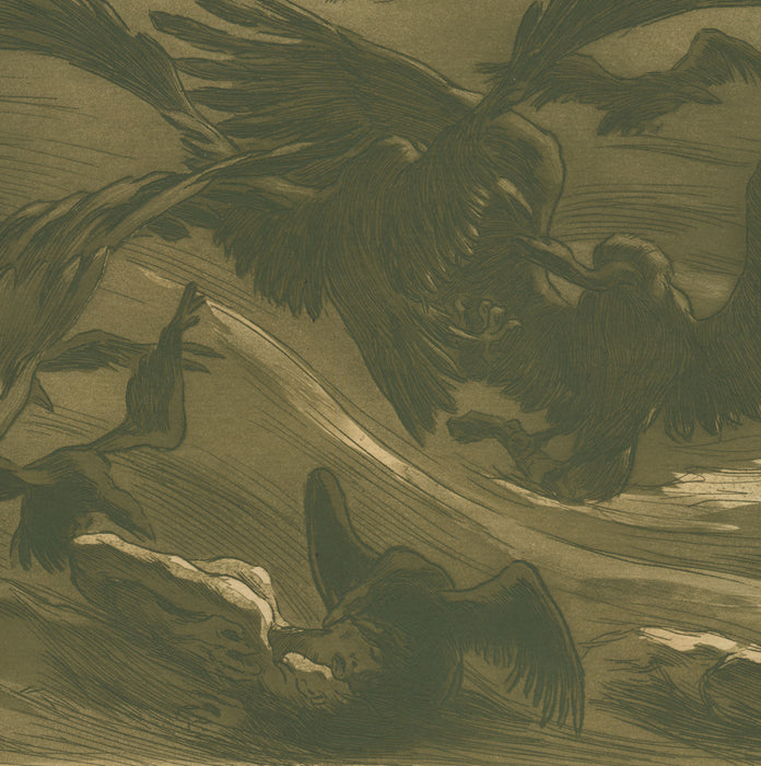 Etching - by PROUVE, Victor - titled: Birds of Prey